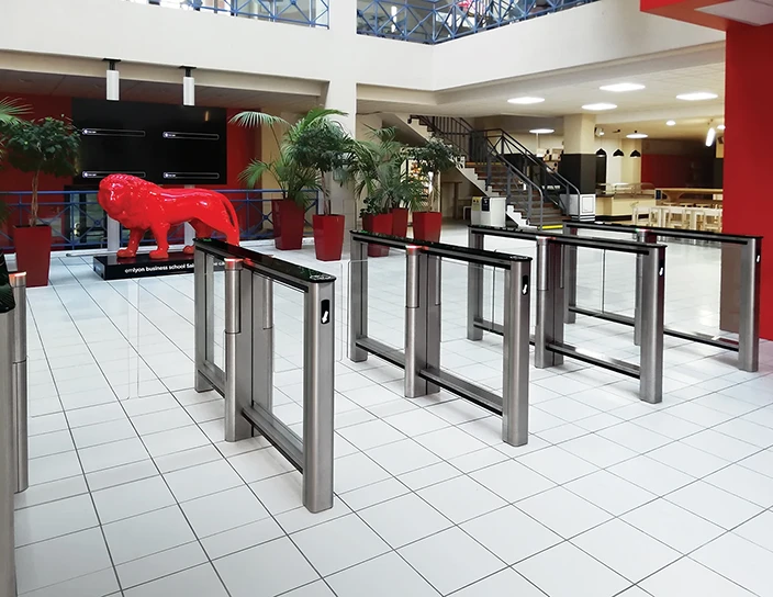 Скоростные проходы ST-01, Бизнес-школа Emlyon, Франция