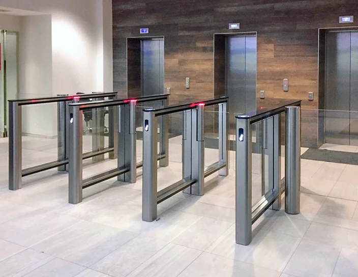 Скоростные проходы в составе системы S-20, Тимирязевская Академия, Москва